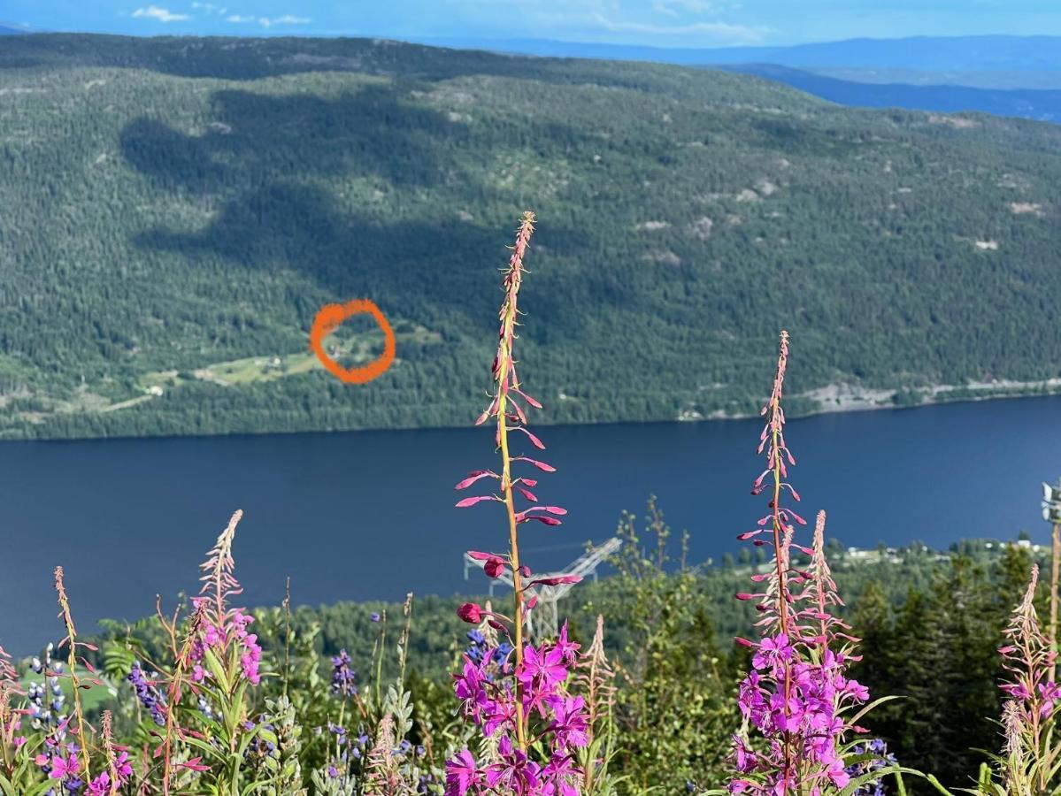 « Sofly Cottage », Le Charme Pur Noresund Eksteriør billede